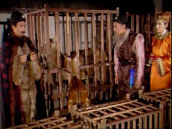 看懂红楼梦贾府,红楼梦看懂人情