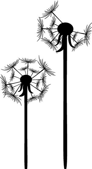 论bgm的重要性三蹦子,论bgm的重要性钢琴