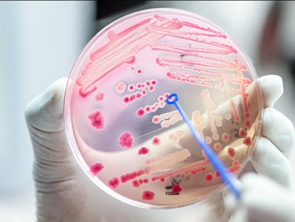 英国老奶奶被抓,英国80岁老太被抓