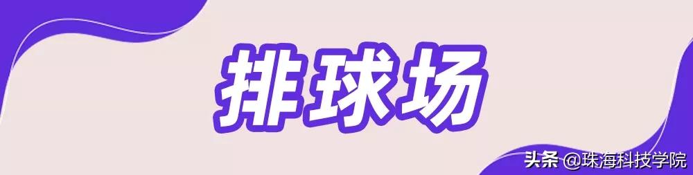 新生攻略校区介绍,新生竞技攻略