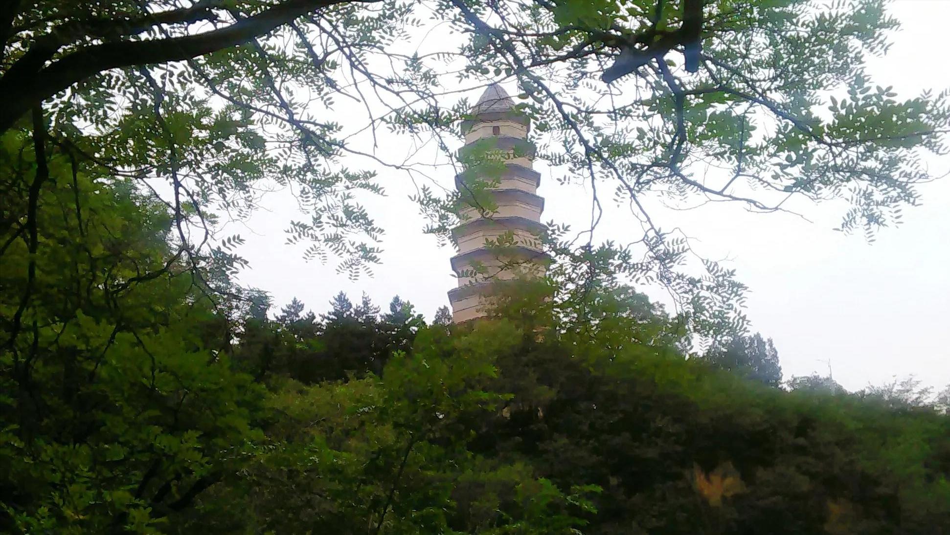 走进延安—登顶圣地宝塔山，感受安塞腰鼓山，游览佛道合一云台山