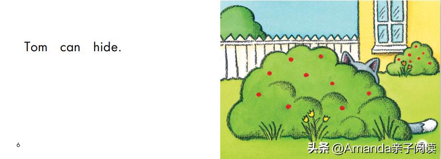 大猫英语绘本零基础,tom汤姆猫英语绘本是几年级的