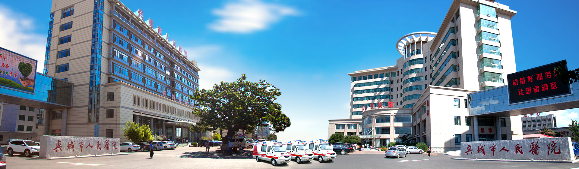 东北最有发展的沿海城市,东北为什么没有三线城市