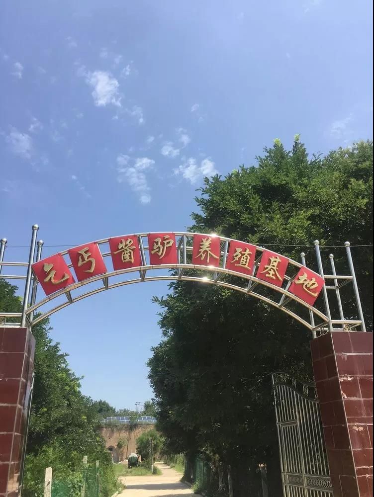 感恩父亲节，千人游长武，你来吗？