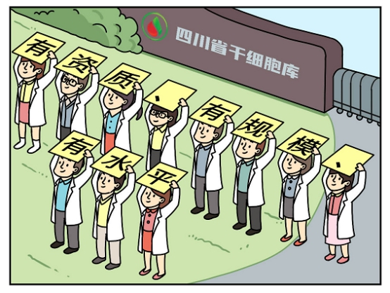 孩子的脐带没有用?这些你需要了解