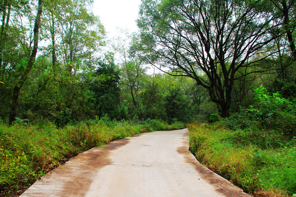 鄱湖之滨美景图,鄱阳湖之滨