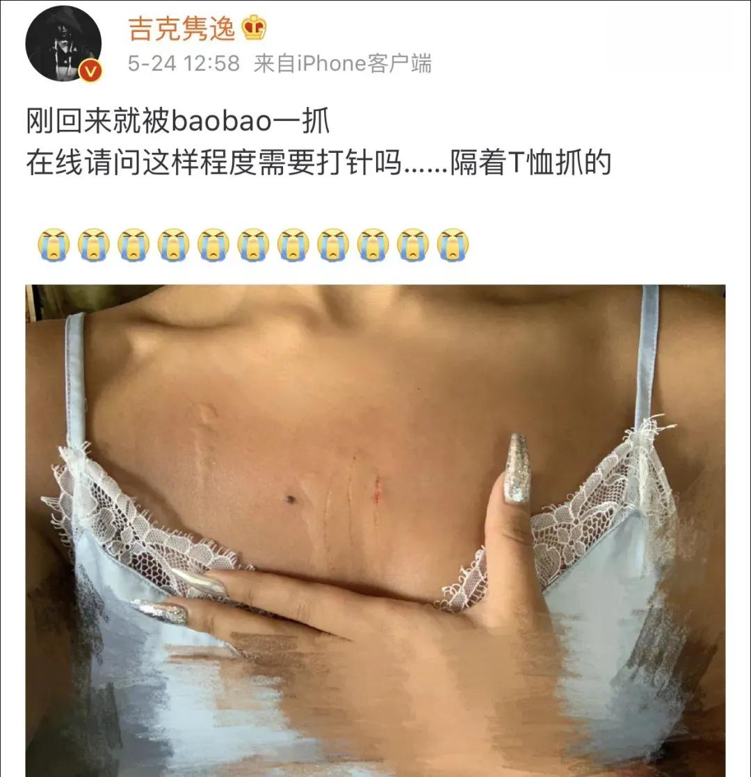 被猫抓伤的伤口痒什么原因,被猫抓伤出血伤口肿了很痒