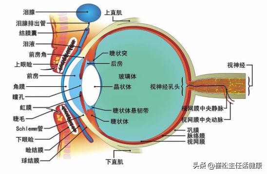 疫情期间常见症状的自我诊察及对策（上）