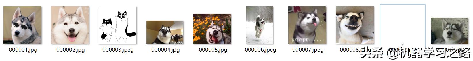如何快速高效爬取谷歌百度必应的图片