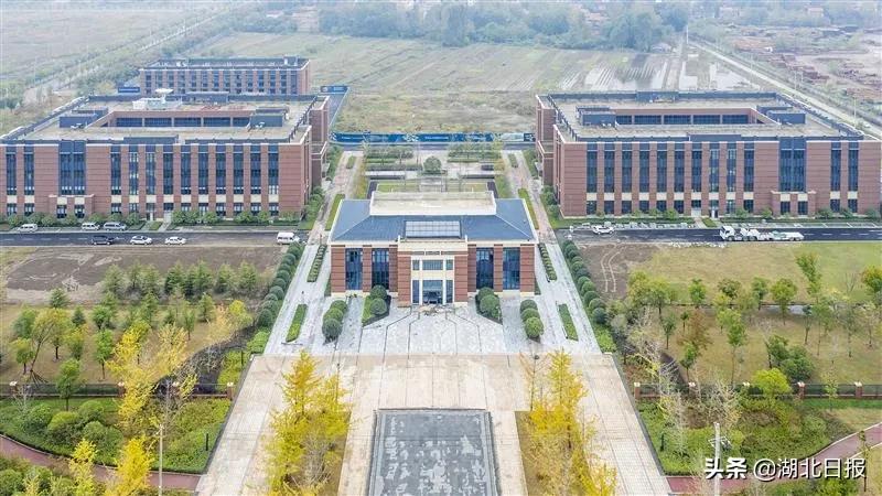 长文最新更新视频,重磅文章最新