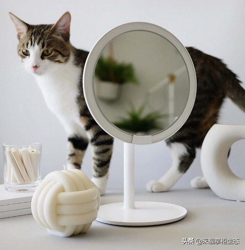 月黑风高光线效果,月黑风高照亮你的美图片