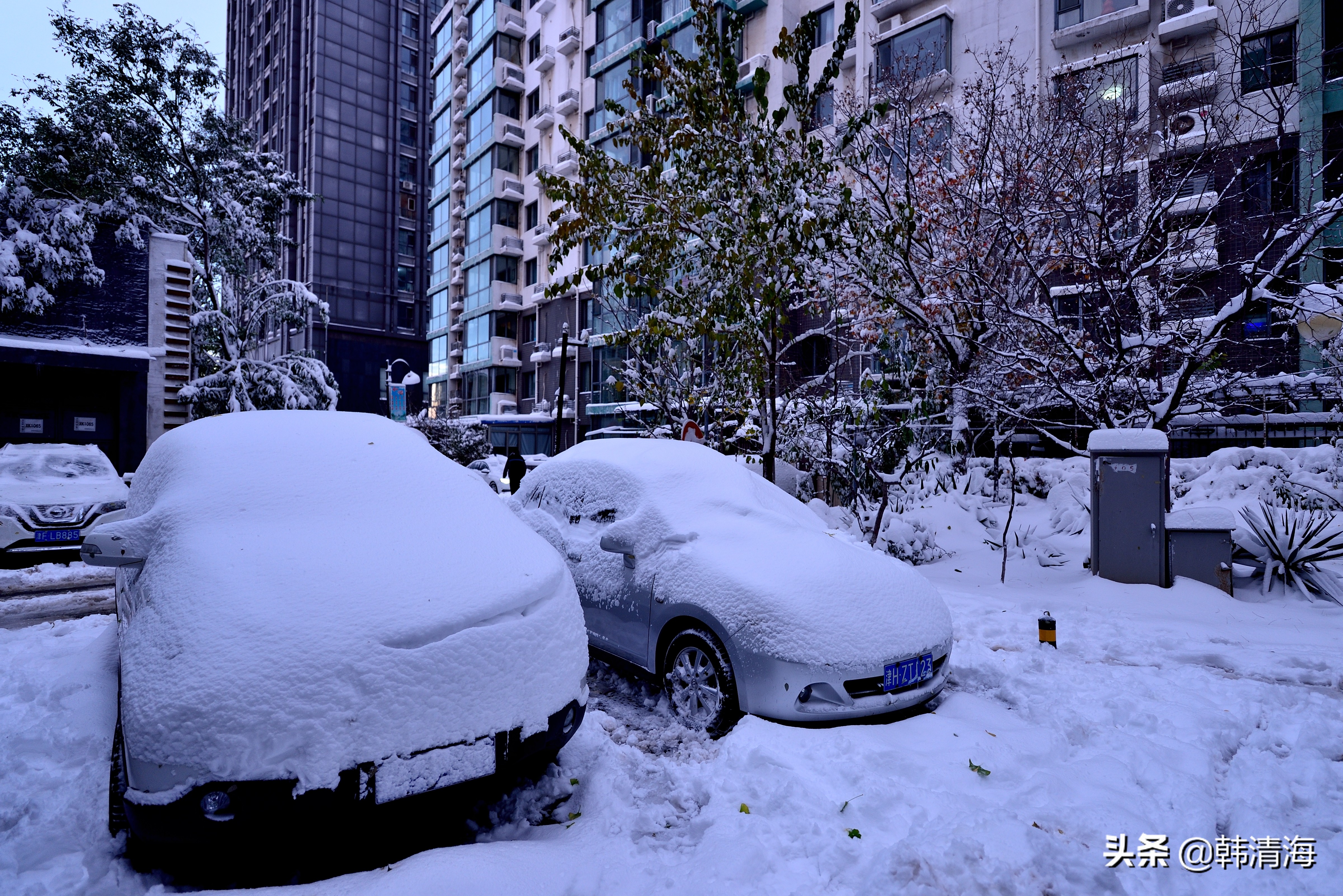 2021天津第一雪水畔花园小区装扮得更加圣洁和美丽