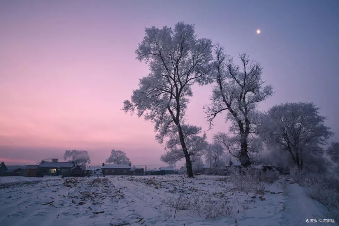 国内这7个绝美雪景地,看到第一个我就想去了!