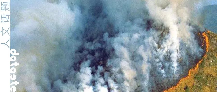 错过了蔡依林的美甲，但iu还来得及