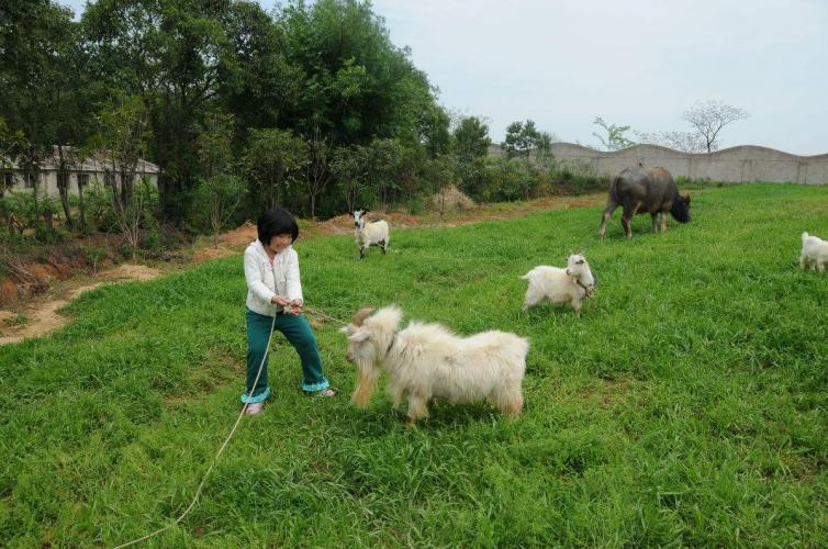 武汉周边自驾游景点排名前十名,武汉周边别墅度假村农家乐