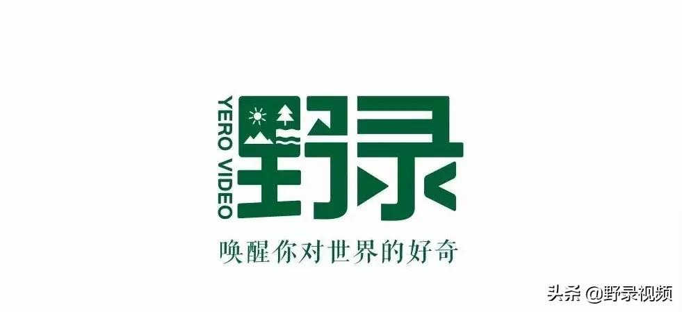 作为一个英国人,作为一名英国男孩应该注意什么