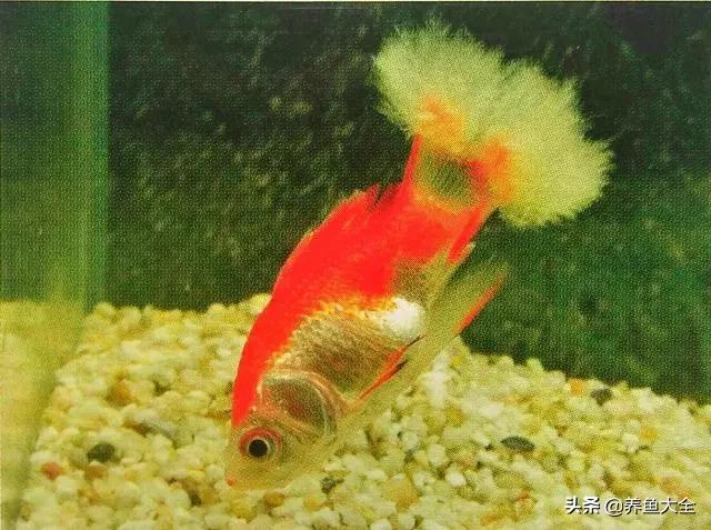 疾病科普小讲堂,疾病知识小讲堂