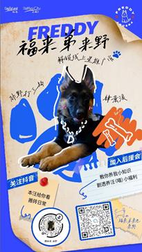 深圳来福士广场开业时间,深圳来福士广场五周年