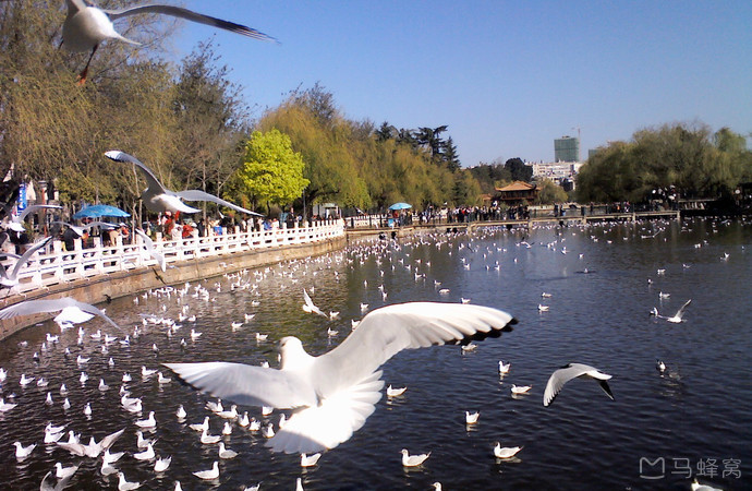昆明一周游,昆明泡汤2日游