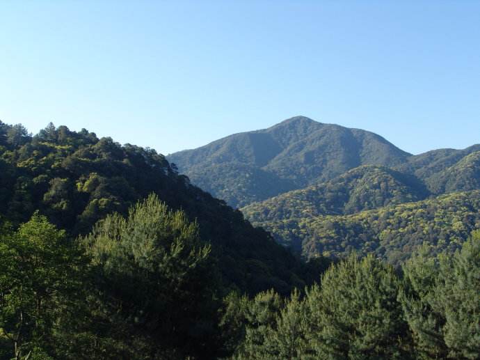 湘村纪事,湘村记事