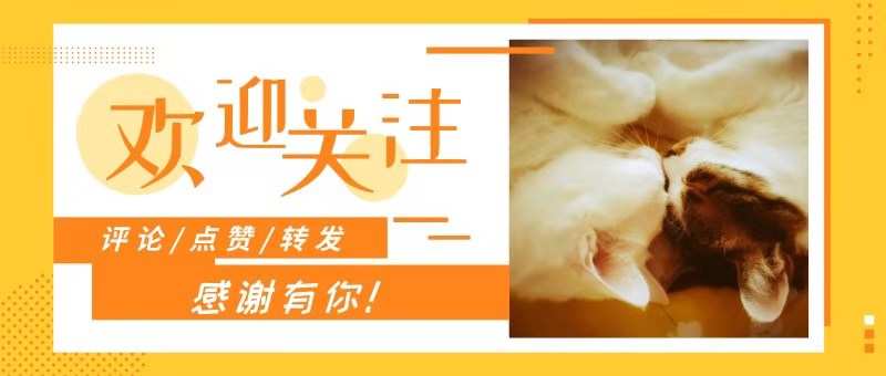 猫是肉食动物为什么它吃猫草,猫属于肉食动物一般不吃什么