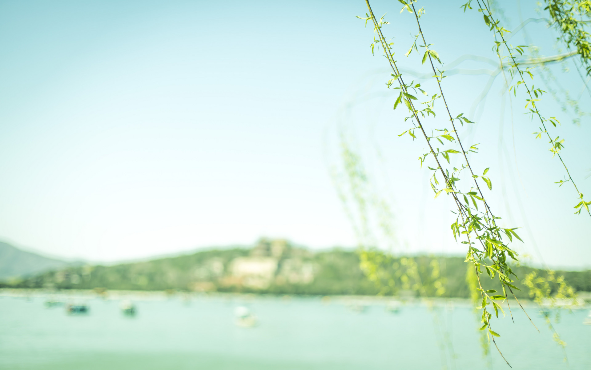 描写春天的诗词100首,自创春天现代诗词100首