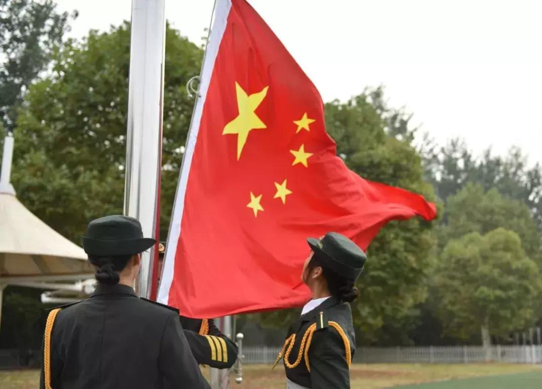 这一波爱国表白,很圈粉