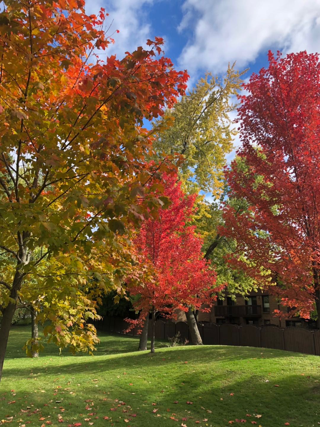想去加拿大留学找哪个中介可靠,去加拿大留学中介费用一般是多少