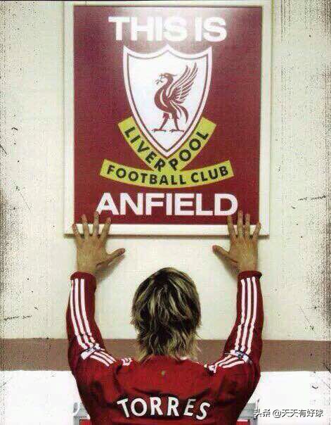 费尔南多托雷斯现状,费尔南多托雷斯生涯历程