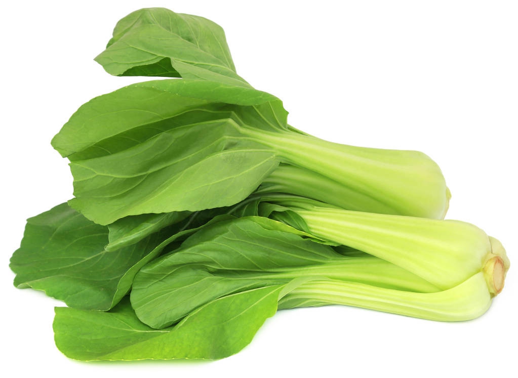 菜豆种植技术教程,小白菜的习性和栽培管理措施