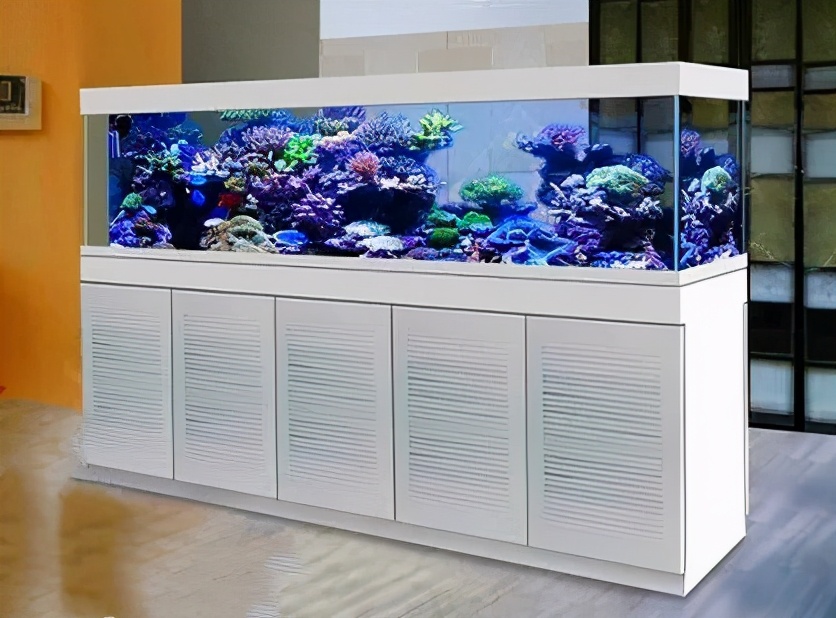 你真的已经准备好换一个更大的爱缸了吗？