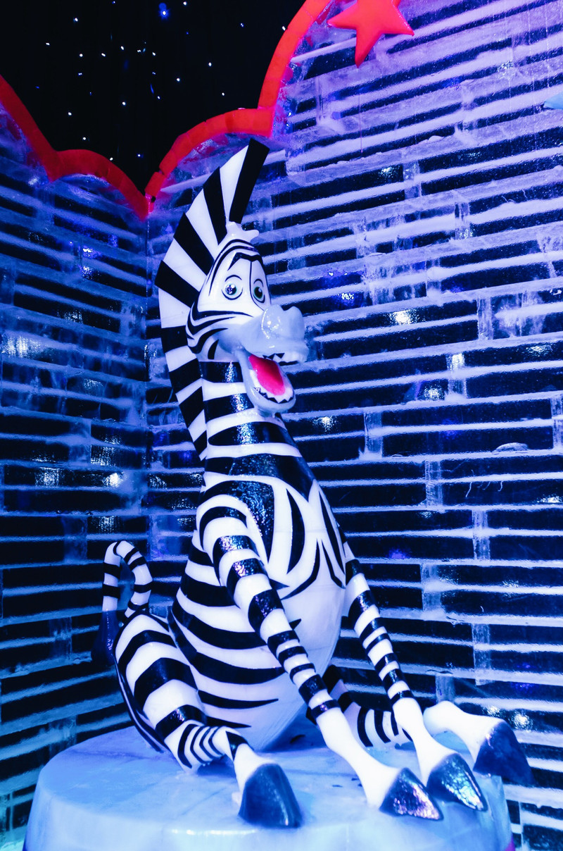 去奥陶纪的路线,梦幻奥陶纪景区路线