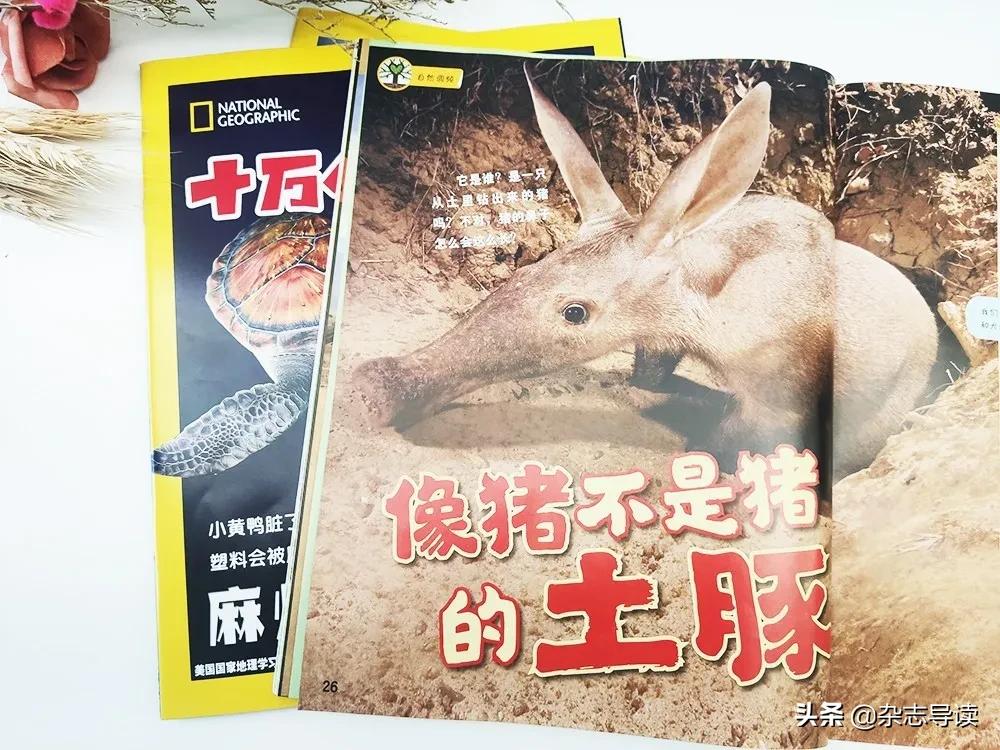 孩子必读的科普读物,哪些适合小学生看的科普杂志