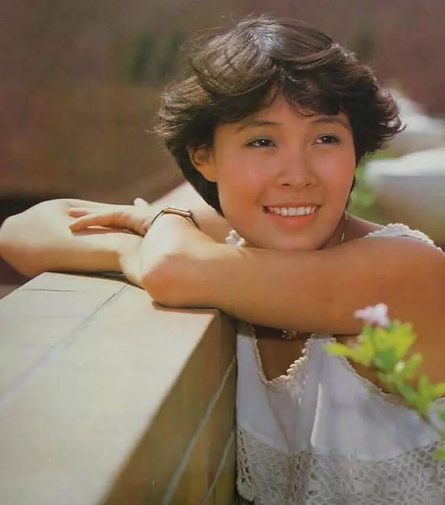 台山四九有多少位香港明星,祖籍广东江门市的香港明星