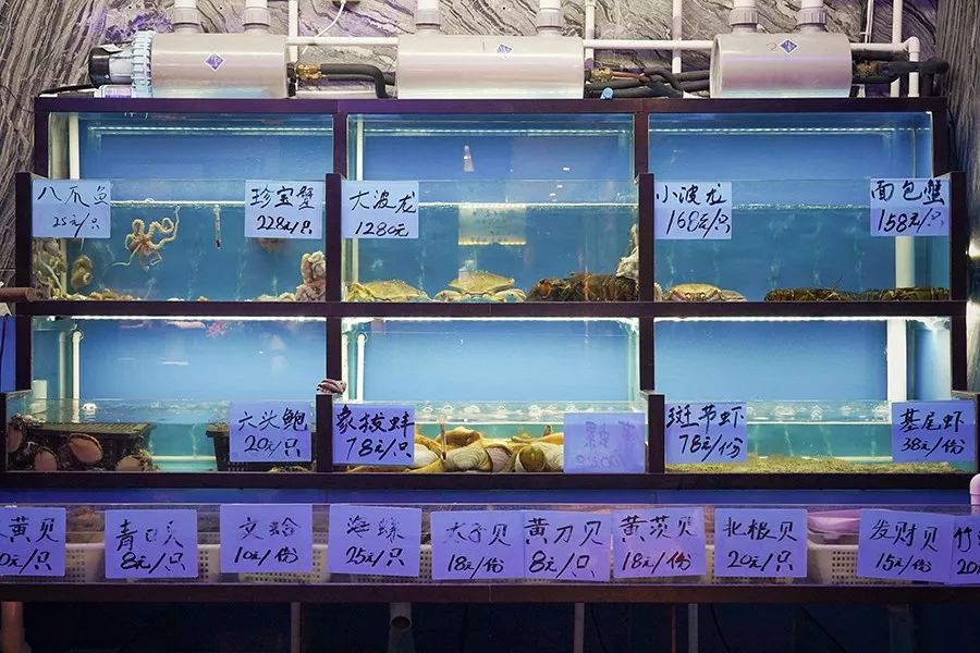 港式花胶鸡打边炉正宗做法,简易龙虾汤泡饭