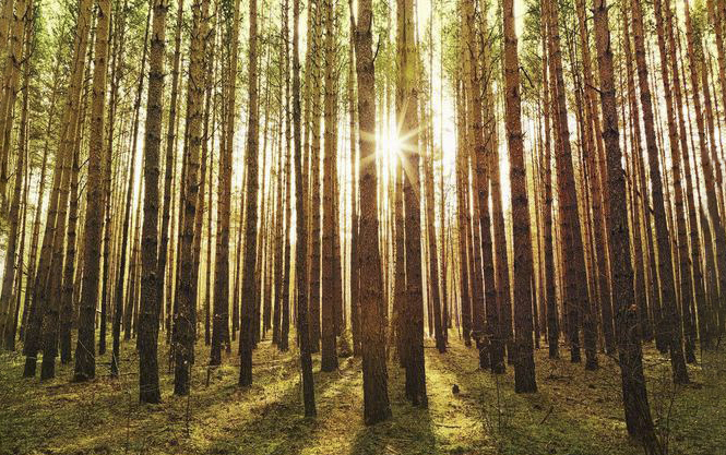 木制屋顶陶瓷瓦施工流程,木板沥青瓦施工视频完整版