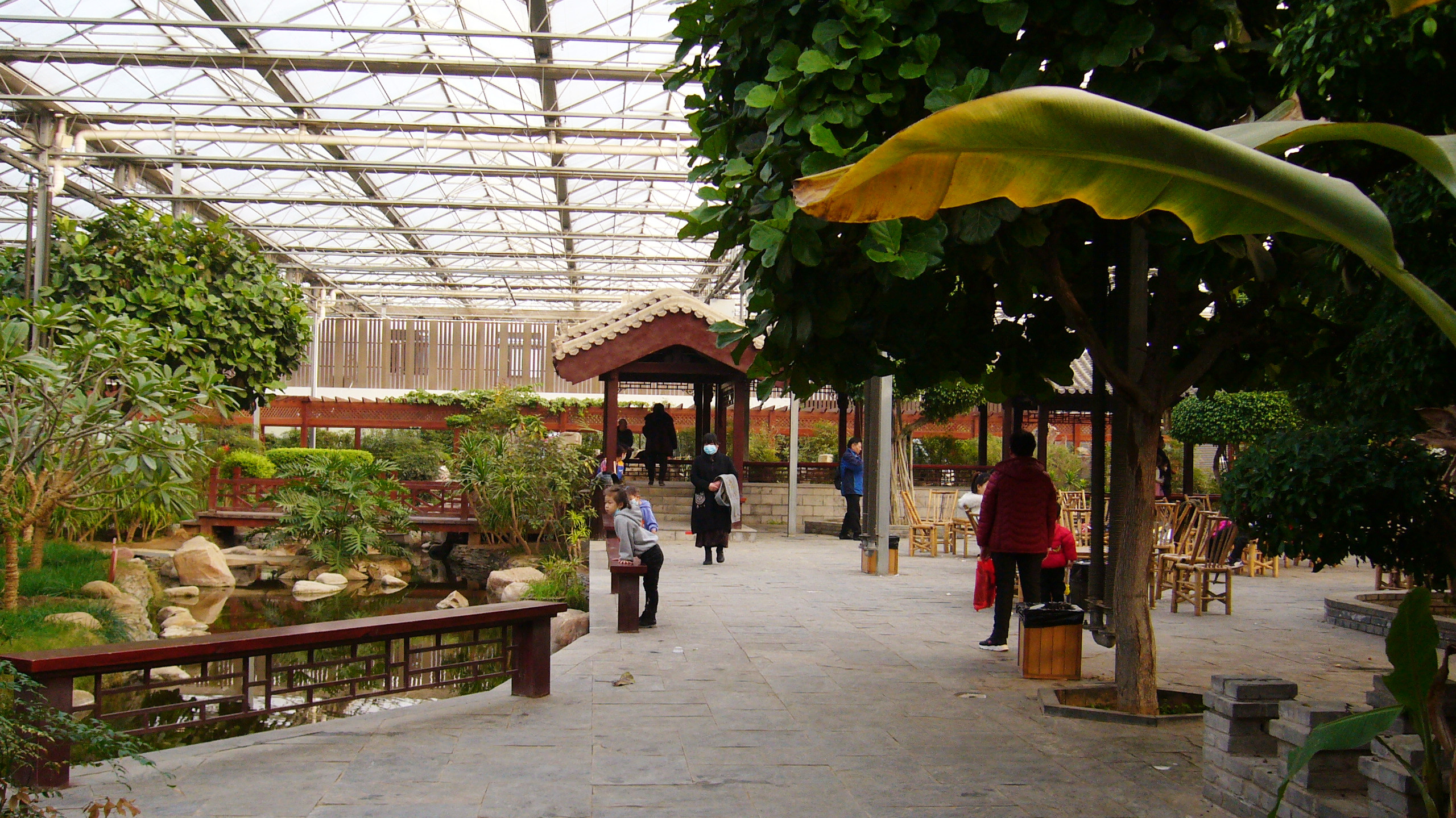 呀路古热带植物园和九天休闲谷,九天休闲谷热带植物园