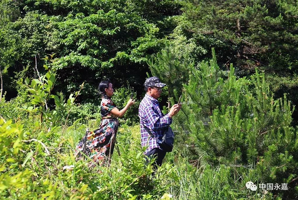 永嘉第一高山在哪里,永嘉楠溪江哪个景点最值得去