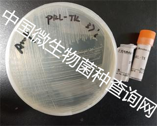 鼠伤寒沙门氏菌怎么传染给婴儿的 (培养基中鼠伤寒沙门氏菌如何计数)