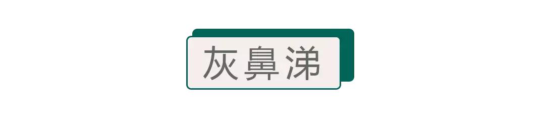 从流清鼻涕变成黄鼻涕是要好了吗,感冒第一天流清鼻涕第二天黄鼻涕