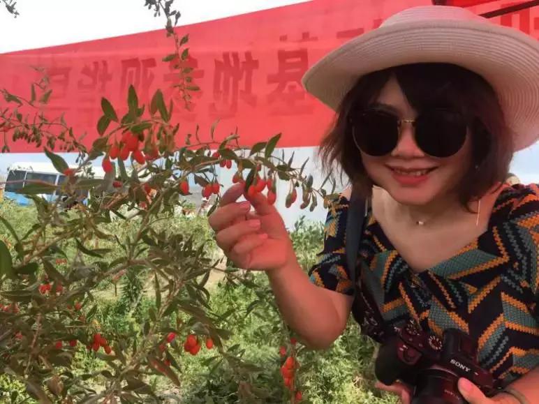 达人西游|精河的美，你想象不到！