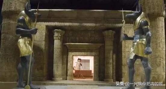 肥熊动画片,肥熊电影