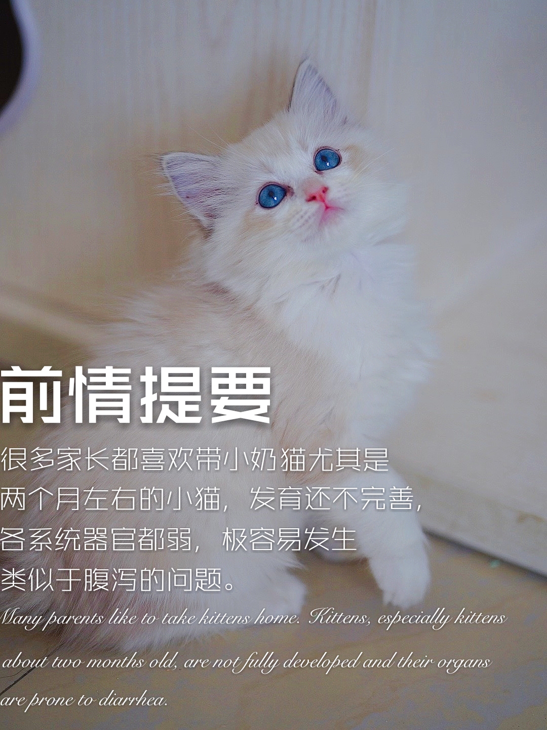 幼猫拉稀可以用氟哌酸吗,幼猫拉稀吃土霉素