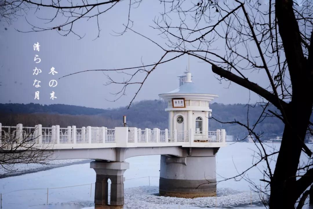 东北三省最适合宜居的城市,东北三省宜居养老城市