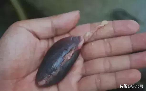 人吃鱼中毒后是什么症状,吃鱼中毒后死亡症状