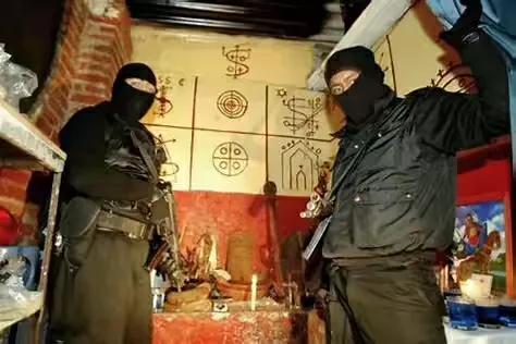 世界上最危险的两种树,世界上最危险的三个森林第三名