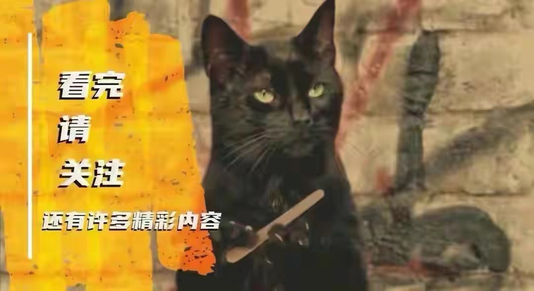 家里有大扑棱蛾子是什么原因,家里为什么有小扑棱蛾子