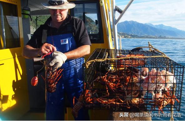 13天自驾新西兰，这个不缺蓝天与绿草的国度无比的热情富有生命力