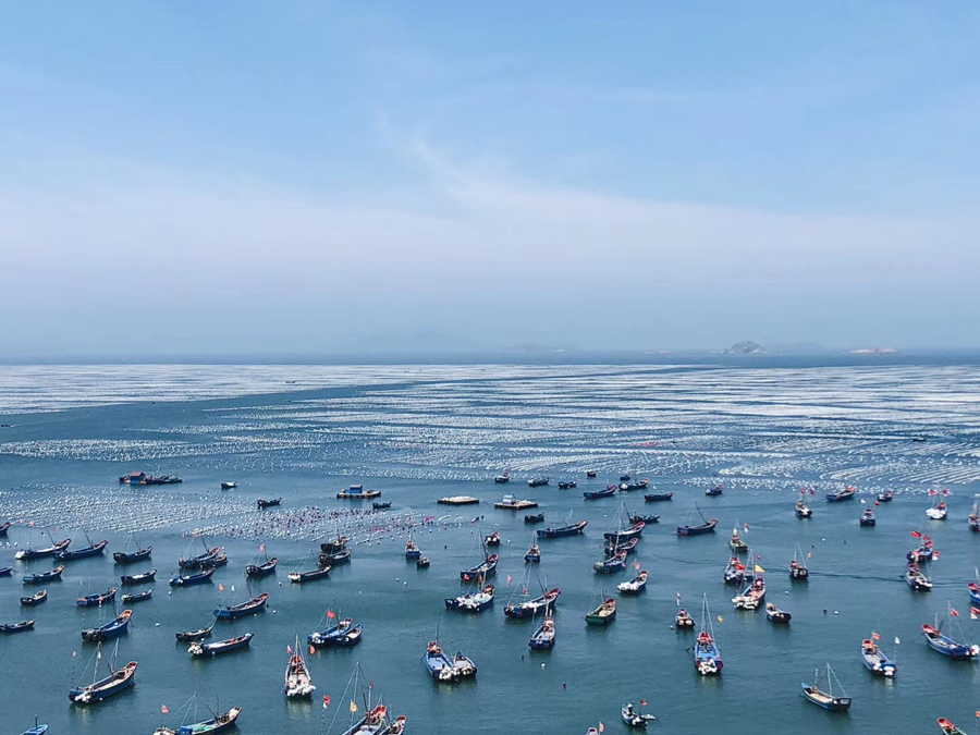 枸杞岛海岛旅游,美丽的枸杞岛之旅