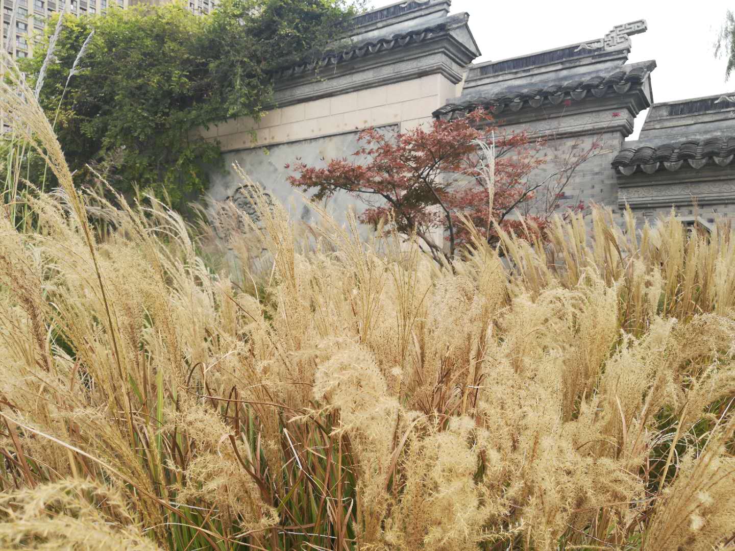 徒步无锡古运河寻找美景,无锡最美沿太湖路线